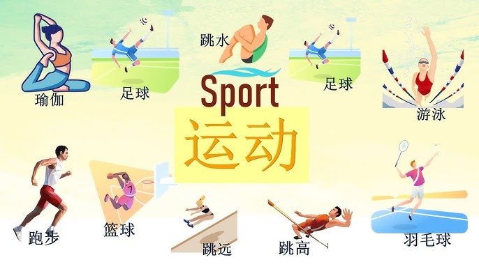 的外侧侧